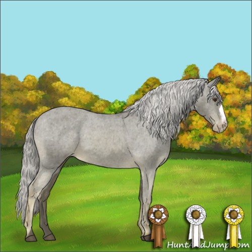 Horse Color:Chocolate Palomino Mushroom Varnish
