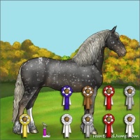 Horse Color:Liver Chestnut Appaloosa Rabicano