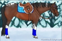 Horse Color:Bay Roan Tobiano