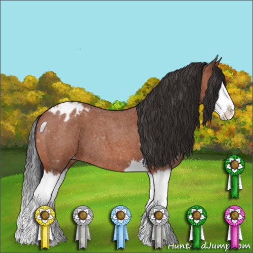 Horse Color:Bay Roan Splash Varnish