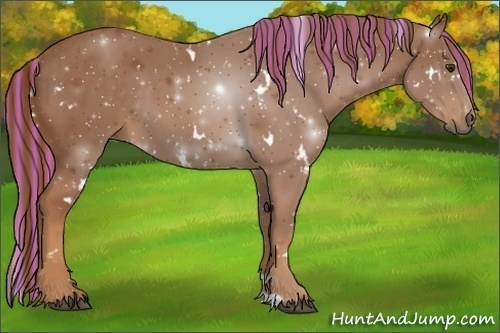 Horse Color:Painted White Spotted Chestnut 