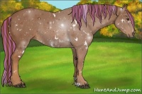 Horse Color:Painted White Spotted Chestnut 