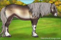 Horse Color:Silver Brown Onyx