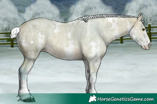Horse Color:Watercolor White Spotted Silver Buckskin Ice Dun Rabicano 