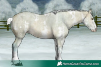 Horse Color:Watercolor White Spotted Silver Buckskin Ice Dun Rabicano 