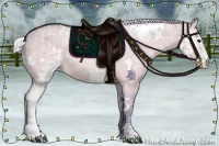 Horse Color:Watercolor White Spotted Silver Buckskin Ice Dun Rabicano 