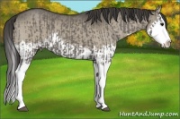Horse Color:Smoky Grullo Sabino Splash and Smoky Grullo Sabino Splash