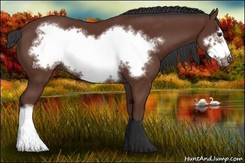 Horse Color:Bay Frame 