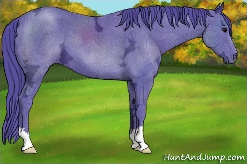 Horse Color:Watercolor Black Chinchilla Ice 