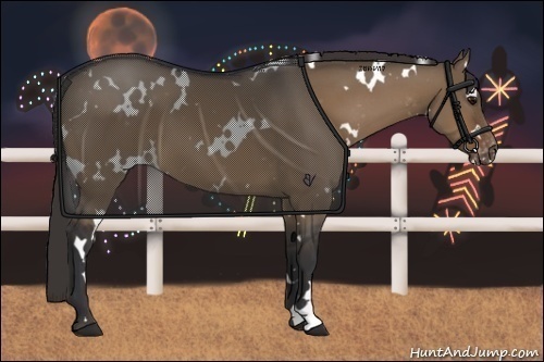 Horse Color:White Spotted Bay Dun Appaloosa 