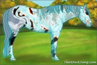 Horse Color:ERROR: UNKNOWN ANOMALY