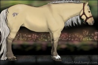 Horse Color:Silver Buckskin Dun