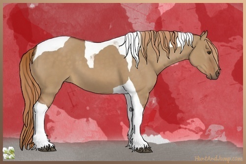 Horse Color:Red Dun Tobiano 