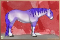 Horse Color:Watercolor Bay Onyx 