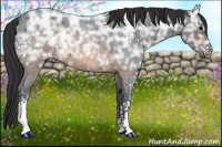 Horse Color:White Spotted Brown Ice Roan 