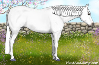 Horse Color:Gray Bay Splash 