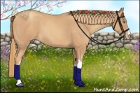 Horse Color:Gold Champagne Roan 