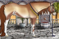 Horse Color:Red Onyx Sabino
