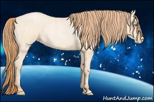 Horse Color:Buckskin Roan Pearl and Buckskin Roan Pearl