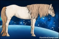 Horse Color:Buckskin Roan Pearl and Buckskin Roan Pearl
