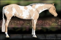 Horse Color:White Spotted Silver Sable Champagne Roan Appaloosa