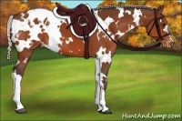 Horse Color:White Spotted Silver Bay Varnish 