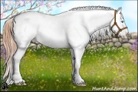 Horse Color:Buckskin Roan Pearl Dun Blanket 
