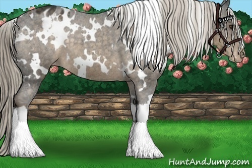 Horse Color:White Spotted Chocolate Palomino Varnish 
