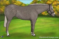 Horse Color:Silver Black Sabino 