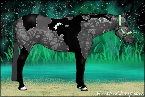 Horse Color:Black Ice Tobiano 
