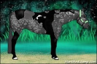 Horse Color:Black Ice Tobiano 