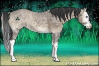 Horse Color:Grullo Ice Onyx Sabino Splash 