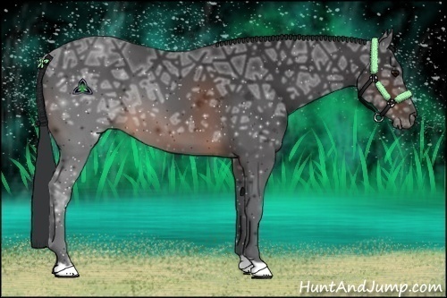Horse Color:Brown Ice 
