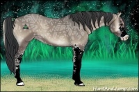 Horse Color:Grullo Ice Onyx Sabino