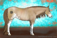 Horse Color:Black Pearl Sabino Rabicano