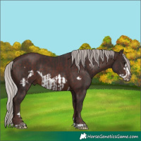 Horse Color:Chocolate Silver Brown and Silver Brown Frame