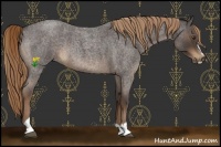 Horse Color:Liver Red Roan Sabino