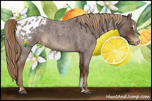 Horse Color:Liver Red Roan Sabino Varnish