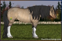 Horse Color:Buckskin Dun Rabicano