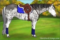 Horse Color:Grullo Sabino Splash  and Grullo Sabino Splash 