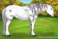 Horse Color:Nacre Black Ice Sabino