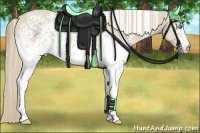 Horse Color:White Spotted Smoky Creme 