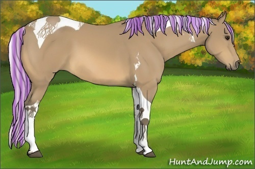 Horse Color:Painted Silver Buckskin Tobiano