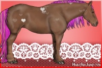 Horse Color:Painted Chestnut