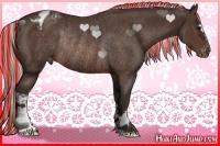 Horse Color:Painted Silver Brown Appaloosa Rabicano 