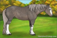 Horse Color:White Spotted Silver Black