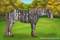 Horse Color:Liver Chestnut Splash and Liver Chestnut
