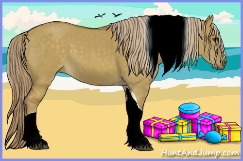 Horse Color:Chocolate Palomino Dun Tobiano