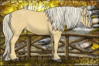 Horse Color:Palomino Rabicano