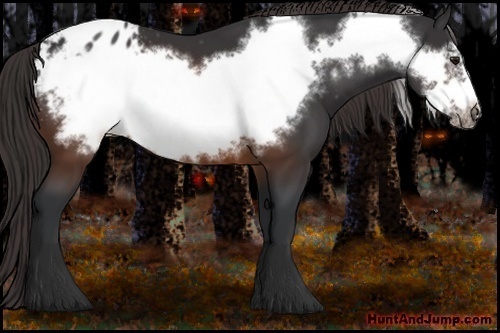 Horse Color:Brown Frame Appaloosa 